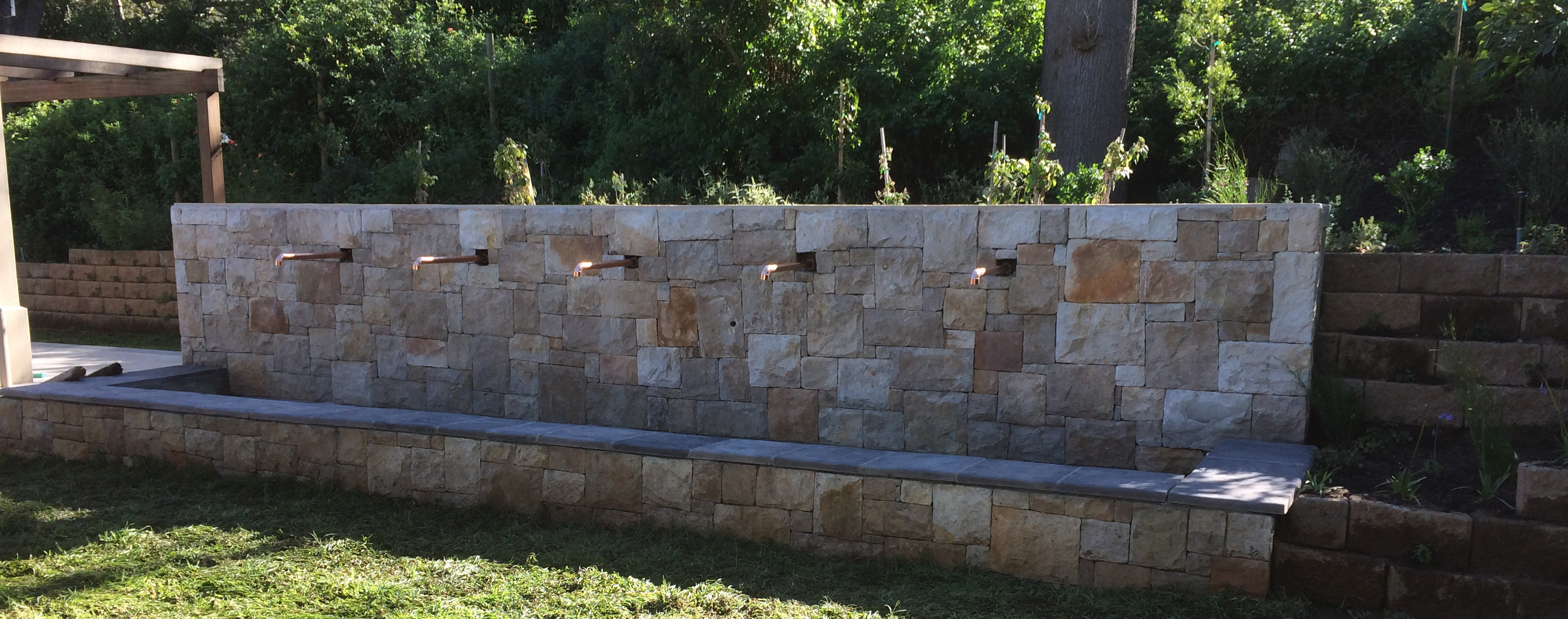 Banner Image 2